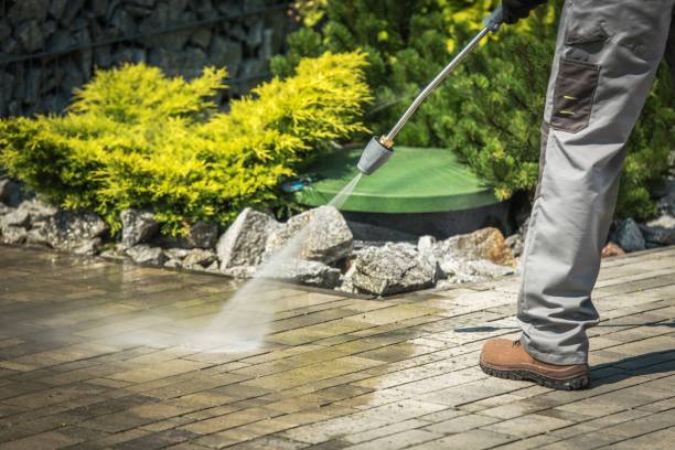 Best Soft Washing  in Cedarburg, WI
